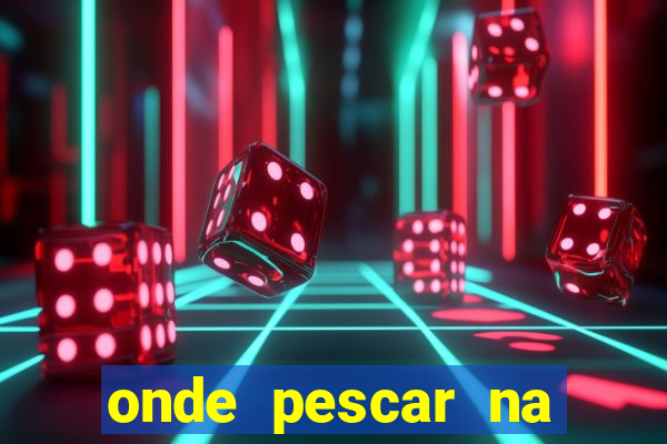 onde pescar na represa billings